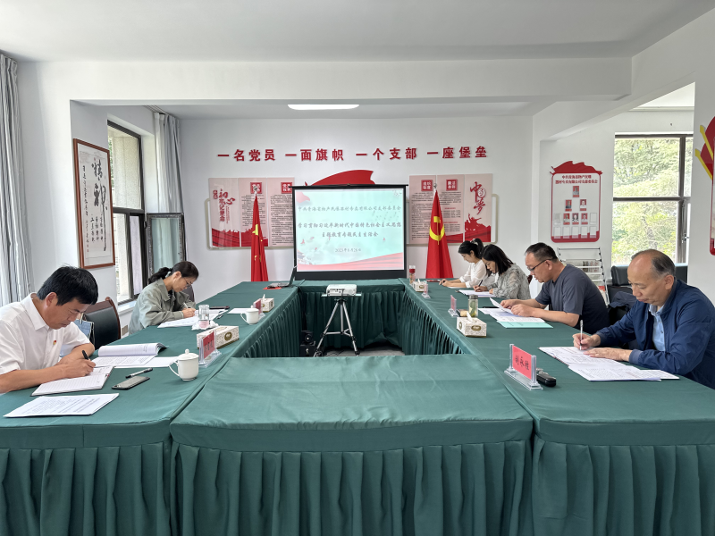 刀刃向內(nèi)深入剖析 貫通融合落實(shí)整改&mdash;&mdash;民爆公司黨支部召開(kāi)主題教育專題民主生活會(huì)